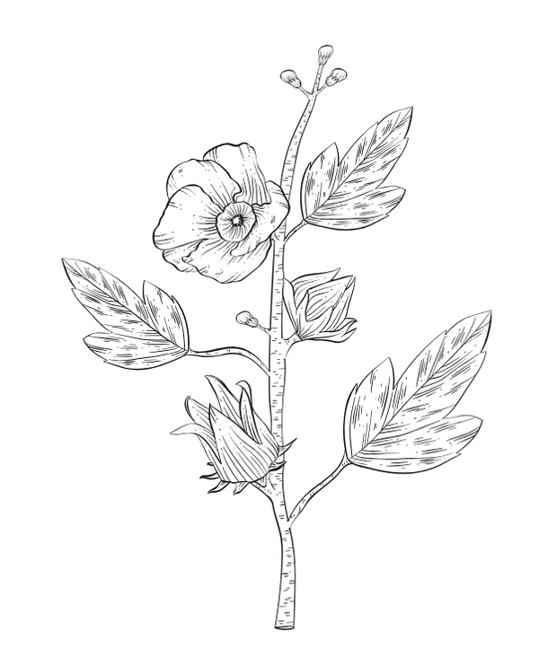 flor